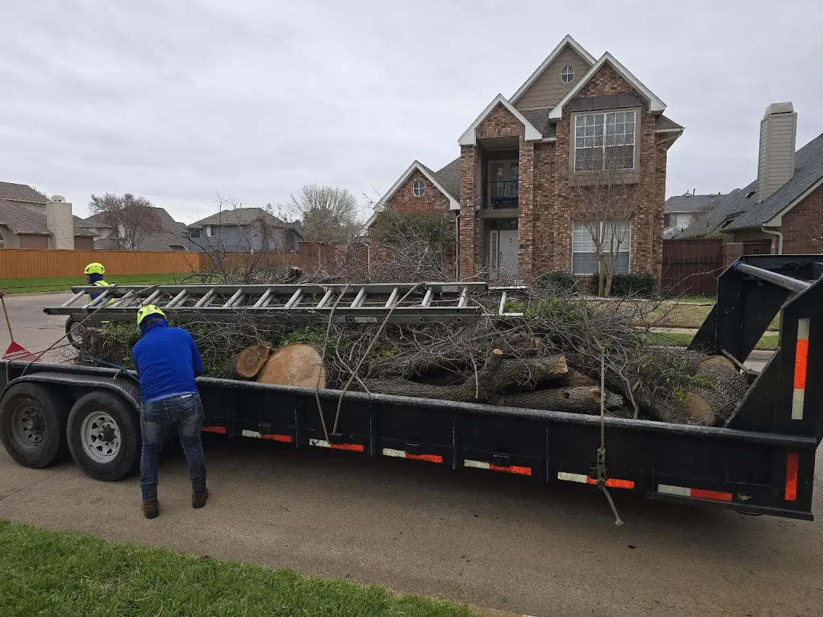 Expert Tree Removal with proper safety equipment in The Villages